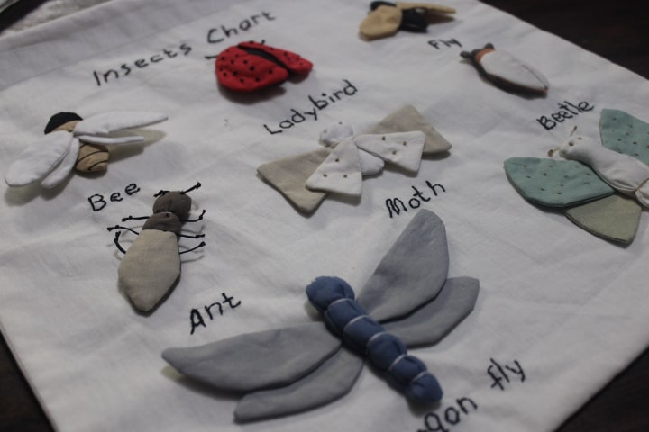 ოთახის დეკორაცია – მწერები